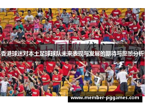 香港球迷对本土足球球队未来表现与发展的期待与愿景分析
